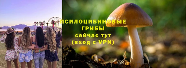 PSILOCYBIN Алексеевка