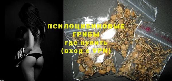 PSILOCYBIN Алексеевка