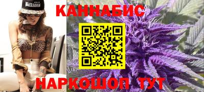 шишки Пугачёв
