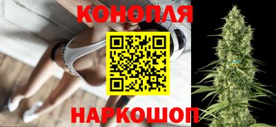 шишки Пугачёв